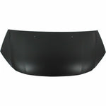 2008-2010 HONDA ODYSSEY Hood Painted to Match 2008-2010 HONDA ODYSSEY Hood Painted to Match