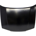 1995-1999 TOYOTA TERCEL Hood Painted to Match 1995-1999 TOYOTA TERCEL Hood Painted to Match