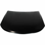2009-2010 KIA OPTIMA Hood Painted to Match 2009-2010 KIA OPTIMA Hood Painted to Match