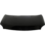 2004-2004 SCION xA Hood Painted to Match 2004-2004 SCION xA Hood Painted to Match