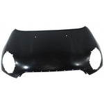 2011-2012 MINI COOPER Hood Painted to Match; BASE 2011-2012 MINI COOPER Hood Painted to Match; BASE