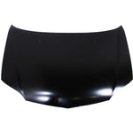 2000-2002 TOYOTA ECHO Hood Painted to Match 2000-2002 TOYOTA ECHO Hood Painted to Match