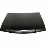 1995-2002 KIA SPORTAGE Hood Painted to Match 1995-2002 KIA SPORTAGE Hood Painted to Match