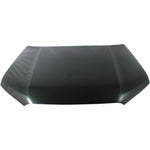 2010-2023 TOYOTA 4-RUNNER Hood Painted to Match; w/o Scoop holes; Sport 2010-2023 TOYOTA 4-RUNNER Hood Painted to Match; w/o Scoop holes; Sport