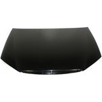 2004-2009 KIA SPECTRA Hood Painted to Match 2004-2009 KIA SPECTRA Hood Painted to Match