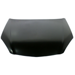 2002-2006 ACURA RSX Hood Painted to Match 2002-2006 ACURA RSX Hood Painted to Match