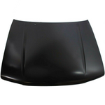 1996-2002 TOYOTA 4-RUNNER Hood Painted to Match; w/o Hood Painted to Match scoop 1996-2002 TOYOTA 4-RUNNER Hood Painted to Match; w/o Hood Painted to Match scoop