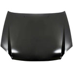 2003-2006 HYUNDAI ACCENT Hood Painted to Match 2003-2006 HYUNDAI ACCENT Hood Painted to Match