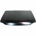 2001-2004 NISSAN FRONTIER Hood Painted to Match 2001-2004 NISSAN FRONTIER Hood Painted to Match