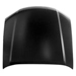 2008-2012 NISSAN PATHFINDER Hood Painted to Match 2008-2012 NISSAN PATHFINDER Hood Painted to Match