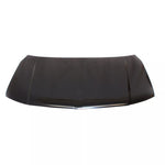 2006-2009 LINCOLN MKZ Hood Painted to Match 2006-2009 LINCOLN MKZ Hood Painted to Match