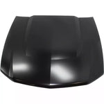 2010-2012 FORD MUSTANG Hood Painted to Match 2010-2012 FORD MUSTANG Hood Painted to Match
