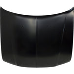 2005-2010 CHRYSLER 300/300C Hood Painted to Match 2005-2010 CHRYSLER 300/300C Hood Painted to Match