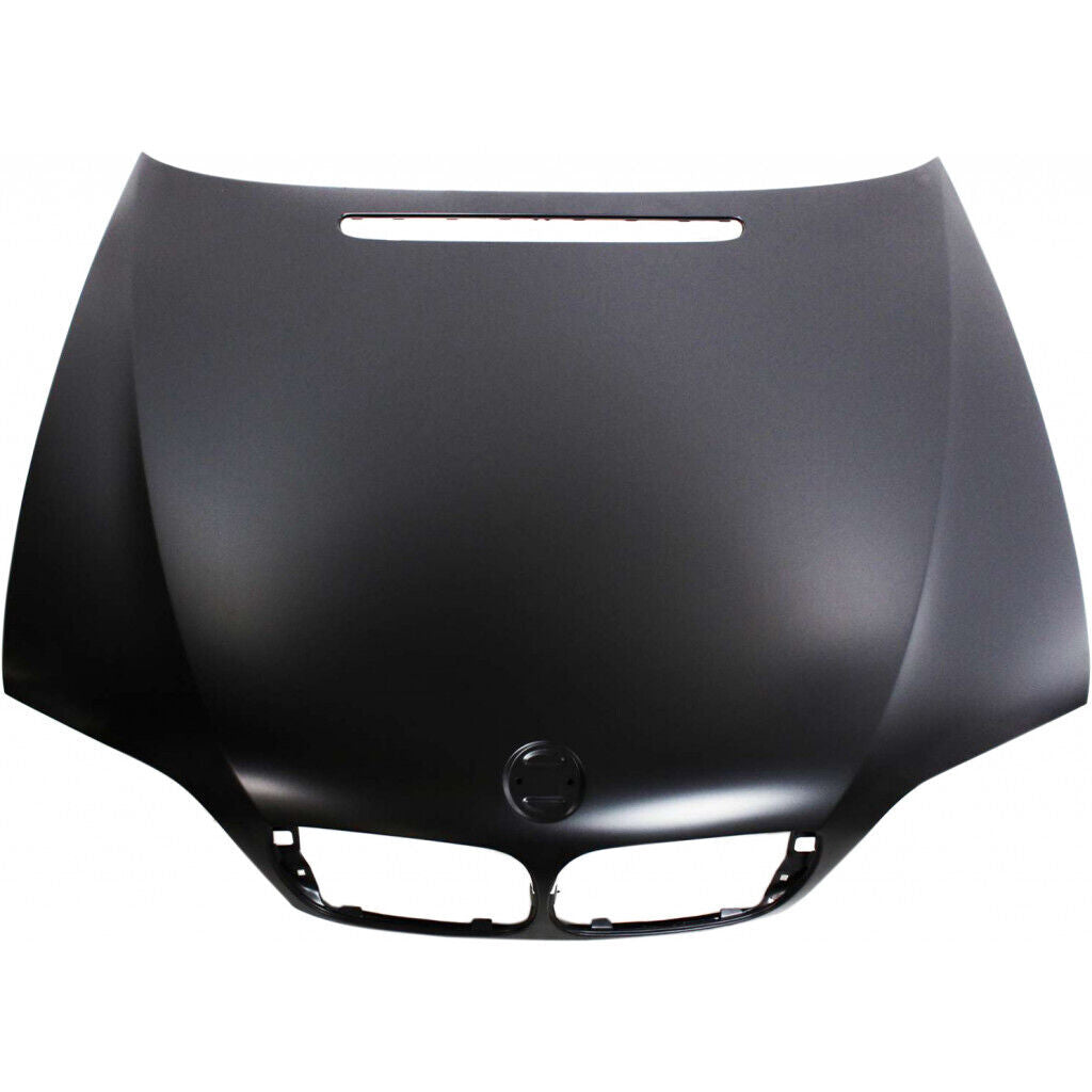 2002-2005 BMW 3 SERIES Hood Painted to Match; Sedan/Wagon | Paint N Ship