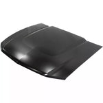2010-2012 FORD MUSTANG Hood Painted to Match 2010-2012 FORD MUSTANG Hood Painted to Match