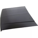 1987-1993 Dodge PICKUP D-50 Hood Painted to Match 1987-1993 Dodge PICKUP D-50 Hood Painted to Match