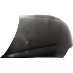 1999-2004 HONDA ODYSSEY Hood Painted to Match 1999-2004 HONDA ODYSSEY Hood Painted to Match