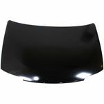 1999-2002 NISSAN QUEST Hood Painted to Match; w/o hole 1999-2002 NISSAN QUEST Hood Painted to Match; w/o hole