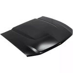 2010-2012 FORD MUSTANG Hood Painted to Match 2010-2012 FORD MUSTANG Hood Painted to Match