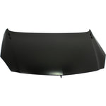 2012-2015 BUICK REGAL eASSIST Hood Painted to Match 2012-2015 BUICK REGAL eASSIST Hood Painted to Match