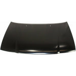 1991-1994 TOYOTA TERCEL Hood Painted to Match 1991-1994 TOYOTA TERCEL Hood Painted to Match