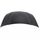 2010-2012 FORD MUSTANG Hood Painted to Match 2010-2012 FORD MUSTANG Hood Painted to Match