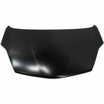 2004-2010 TOYOTA SIENNA Hood Painted to Match 2004-2010 TOYOTA SIENNA Hood Painted to Match