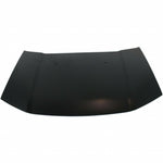 2009-2015 HONDA PILOT Hood Painted to Match (ALUM) 2009-2015 HONDA PILOT Hood Painted to Match (ALUM)