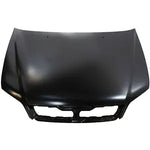 2002-2003 MITSUBISHI LANCER Hood Painted to Match; except Evolution 2002-2003 MITSUBISHI LANCER Hood Painted to Match; except Evolution