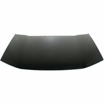 2009-2015 HONDA PILOT Hood Painted to Match 2009-2015 HONDA PILOT Hood Painted to Match