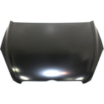 2006-2011 HYUNDAI ACCENT Sedan Hood Painted to Match 2006-2011 HYUNDAI ACCENT Sedan Hood Painted to Match