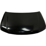 2017-2020 NISSAN ARMADA Hood Painted to Match 2017-2020 NISSAN ARMADA Hood Painted to Match