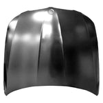 2009-2011 BMW 3 SERIES Hood Painted to Match; Sedan/Wagon 2009-2011 BMW 3 SERIES Hood Painted to Match; Sedan/Wagon