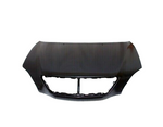 2007-2009 LEXUS RX350 Hood Painted to Match 2007-2009 LEXUS RX350 Hood Painted to Match