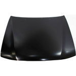 2001-2004 TOYOTA TACOMA Hood Painted to Match 2001-2004 TOYOTA TACOMA Hood Painted to Match