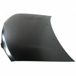 2000-2003 NISSAN SENTRA Hood Painted to Match 2000-2003 NISSAN SENTRA Hood Painted to Match