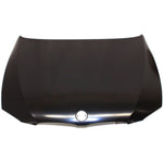2007-2010 BMW 3 SERIES Hood Painted to Match; COUPE/CONV; 3.0L 2007-2010 BMW 3 SERIES Hood Painted to Match; COUPE/CONV; 3.0L