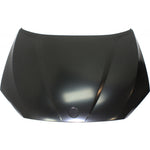 2012-2015 BMW X1 Hood Painted to Match; E84 2012-2015 BMW X1 Hood Painted to Match; E84