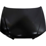 2001-2003 HYUNDAI ELANTRA Hood Painted to Match 2001-2003 HYUNDAI ELANTRA Hood Painted to Match