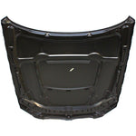 2007-2010 BMW 3 SERIES Hood Painted to Match; COUPE/CONV; 3.0L 2007-2010 BMW 3 SERIES Hood Painted to Match; COUPE/CONV; 3.0L