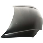 2000-2002 TOYOTA ECHO Hood Painted to Match 2000-2002 TOYOTA ECHO Hood Painted to Match
