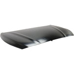 2018-2019 HYUNDAI SONATA Hood Painted to Match 2018-2019 HYUNDAI SONATA Hood Painted to Match