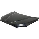 2012-2015 BMW X1 Hood Painted to Match; E84 2012-2015 BMW X1 Hood Painted to Match; E84