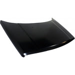 2007-2017 JEEP PATRIOT Hood Painted to Match 2007-2017 JEEP PATRIOT Hood Painted to Match