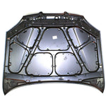 2004-2005 SUZUKI FORENZA Hood Painted to Match 2004-2005 SUZUKI FORENZA Hood Painted to Match