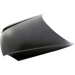 2003-2006 HYUNDAI ACCENT Hood Painted to Match 2003-2006 HYUNDAI ACCENT Hood Painted to Match