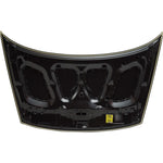 2006-2011 HONDA CIVIC COUPE Hood Painted to Match 2006-2011 HONDA CIVIC COUPE Hood Painted to Match