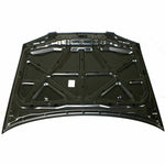 2000-2003 NISSAN SENTRA Hood Painted to Match 2000-2003 NISSAN SENTRA Hood Painted to Match