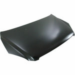 2003-2005 HONDA PILOT Hood Painted to Match 2003-2005 HONDA PILOT Hood Painted to Match