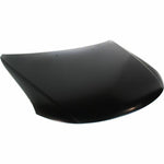 2009-2010 KIA MAGENTIS Hood Painted to Match 2009-2010 KIA MAGENTIS Hood Painted to Match